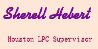 Houston LPC Supervisor